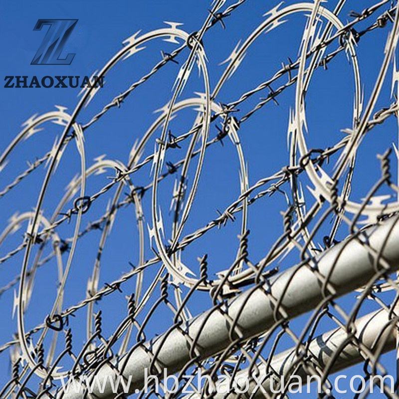 High Protective Quality Particular Design Factory Price Rot Proof Hot Dipped Galvanized Cross Razor Barbed Wire Fencing For Lawn